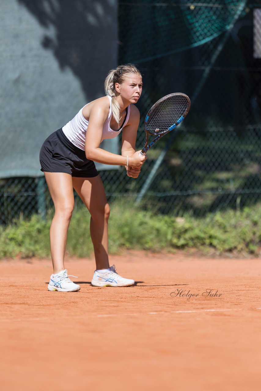 Bild 166 - Klippeldon